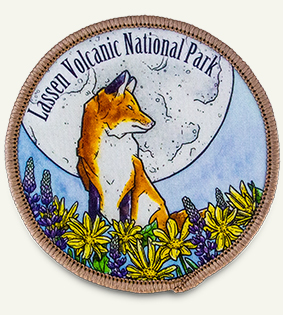 printed patch with an image of a fox on it